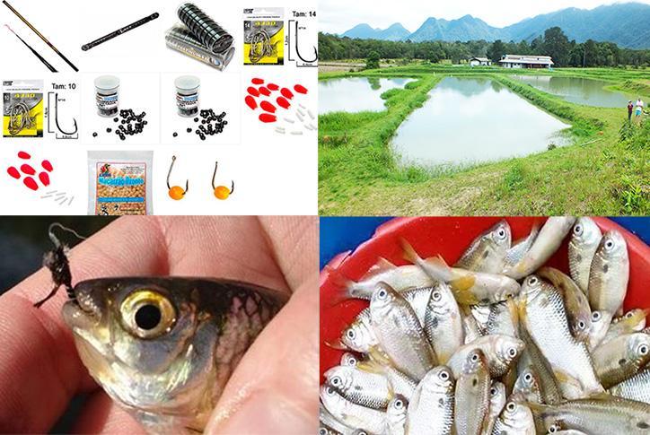 Dia 12 tem a Pesca Solidária no Sítio das Piavas 